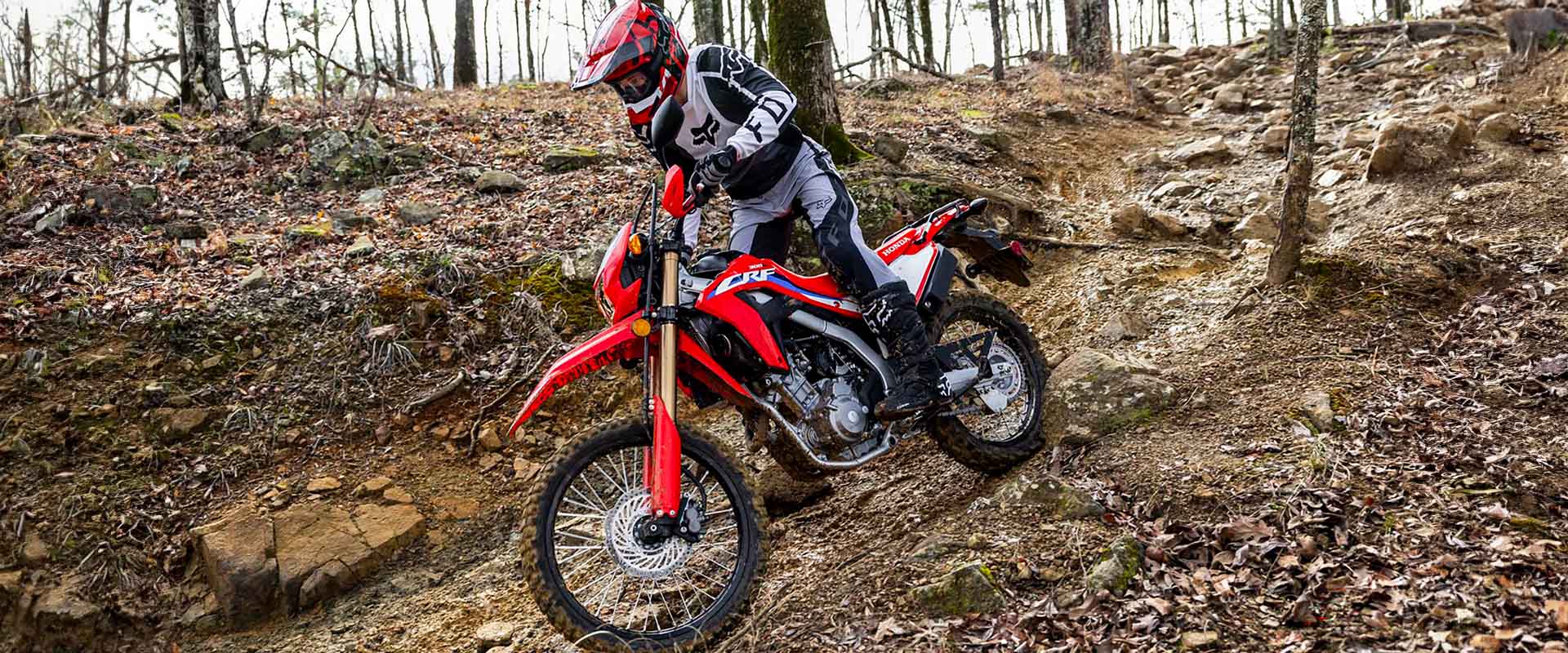 honda-crf300l